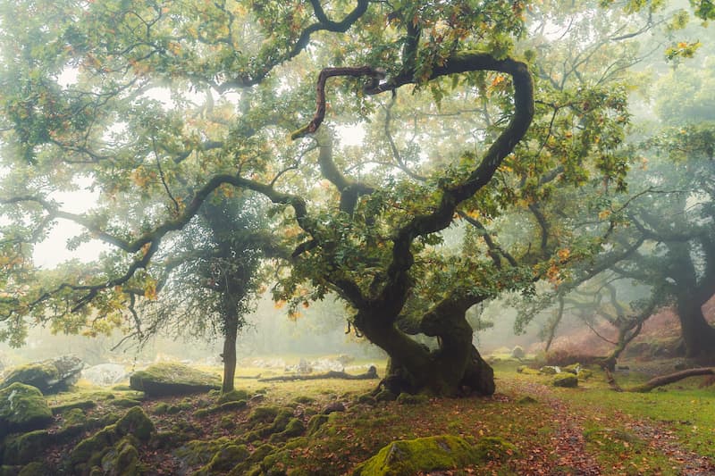 @leecooperphotography_Nomadict_14