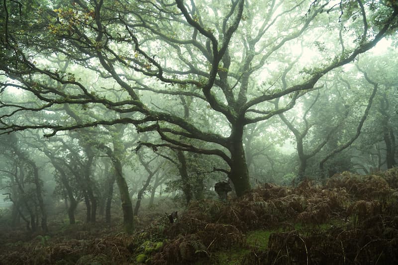 @leecooperphotography_Nomadict_15