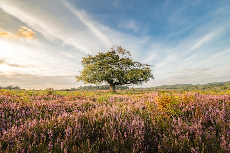 @leecooperphotography_Nomadict_18