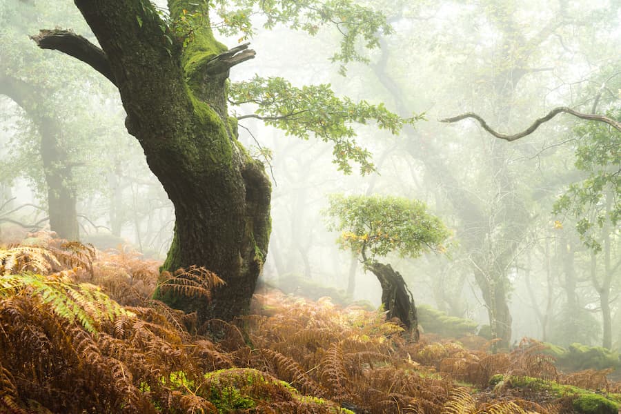 @leecooperphotography_Nomadict_20