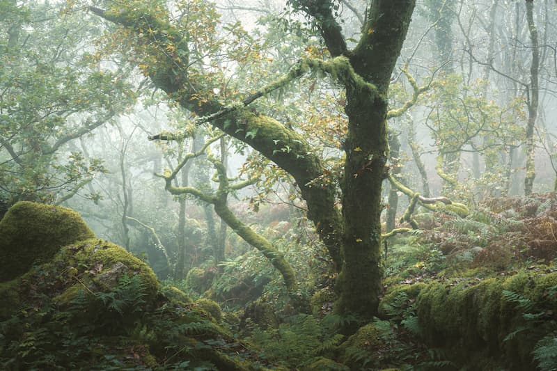 @leecooperphotography_Nomadict_3