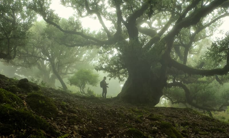 @leecooperphotography_Nomadict_4