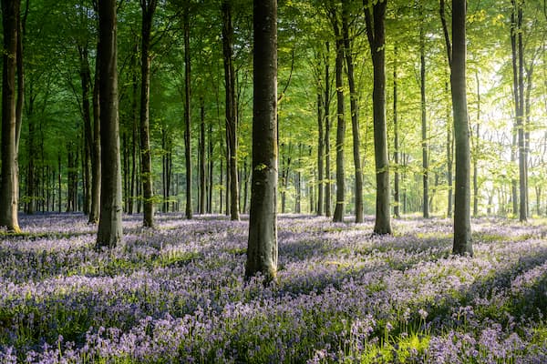 @leecooperphotography_Nomadict_5