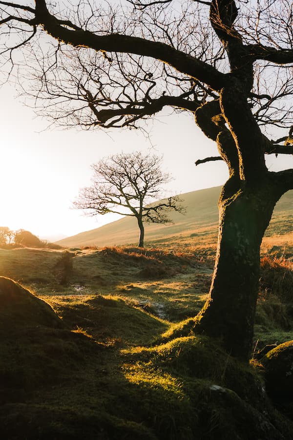 @leecooperphotography_Nomadict_6