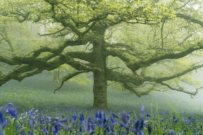 @leecooperphotography_Nomadict_9