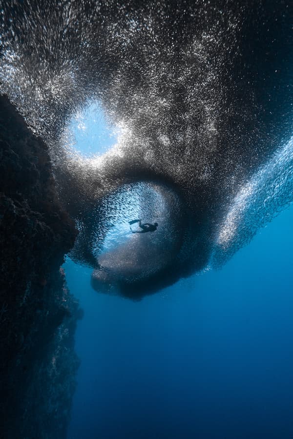 Fish Whisperer_@ben.freediver_12