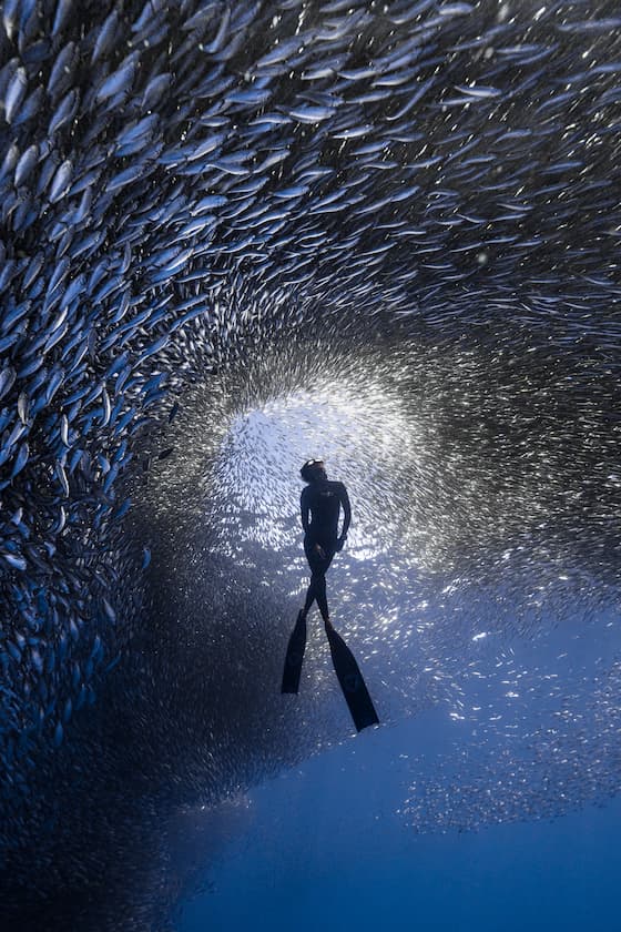 Light_@ben.freediver_6