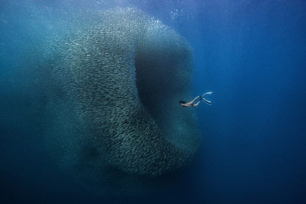 Wormhole_@ben.freediver_2