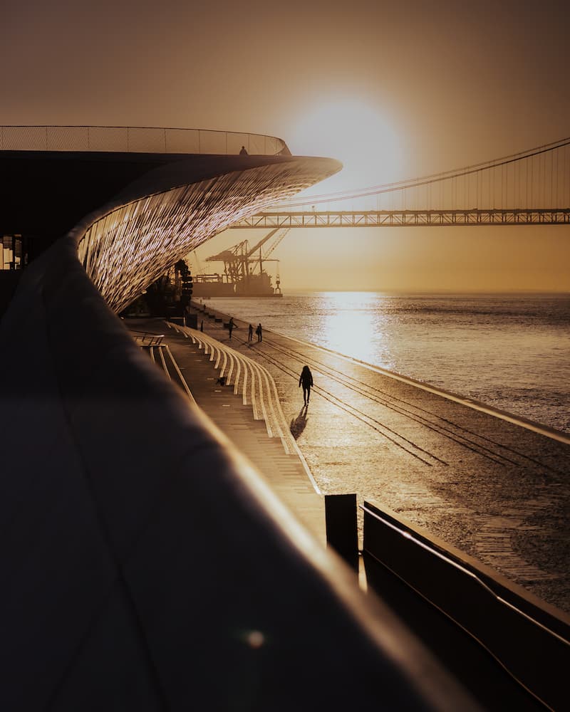 @jorgemchagas Nomadict Article 16