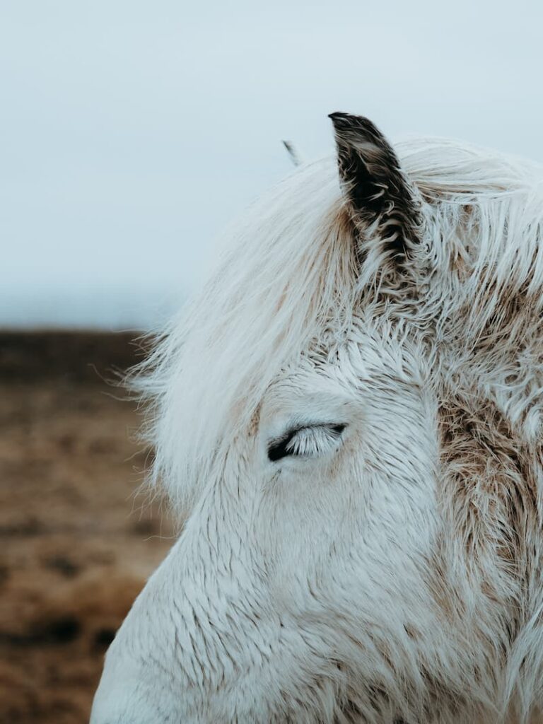 Inês Preto, @minespreto, Best of the Week at #nomadict -10