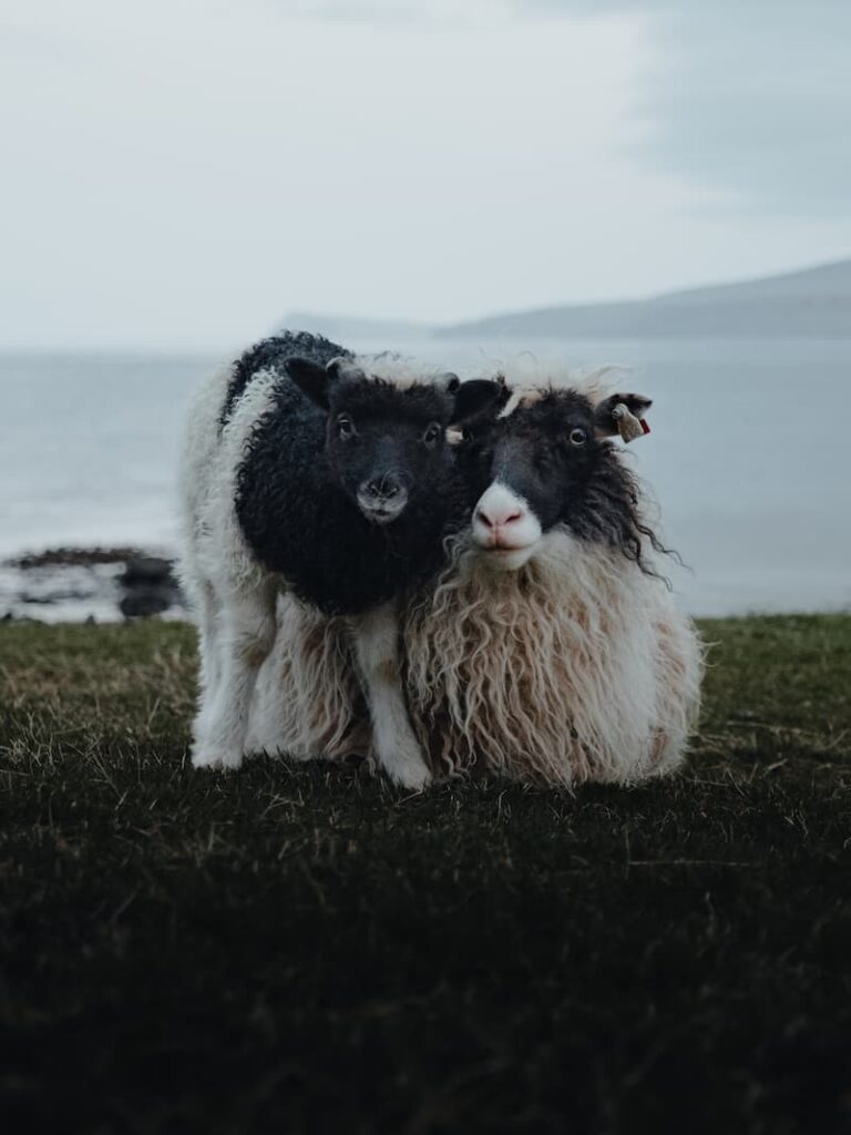 Inês Preto, @minespreto, Best of the Week at #nomadict -12