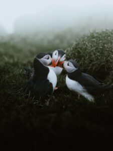 Inês Preto, @minespreto, Best of the Week at #nomadict -9