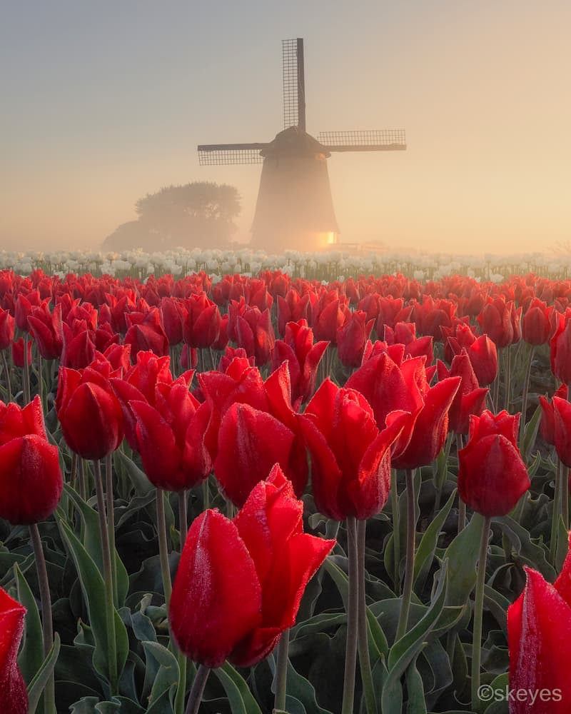 Nick de Jonge @nick_skeyes_1