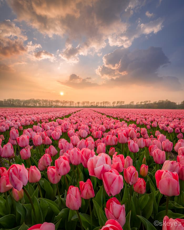 Nick de Jonge @nick_skeyes_12