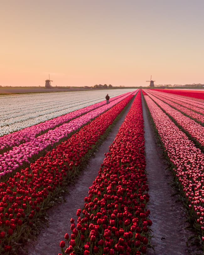 Nick de Jonge @nick_skeyes_13