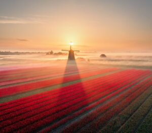 Nick de Jonge @nick_skeyes_4