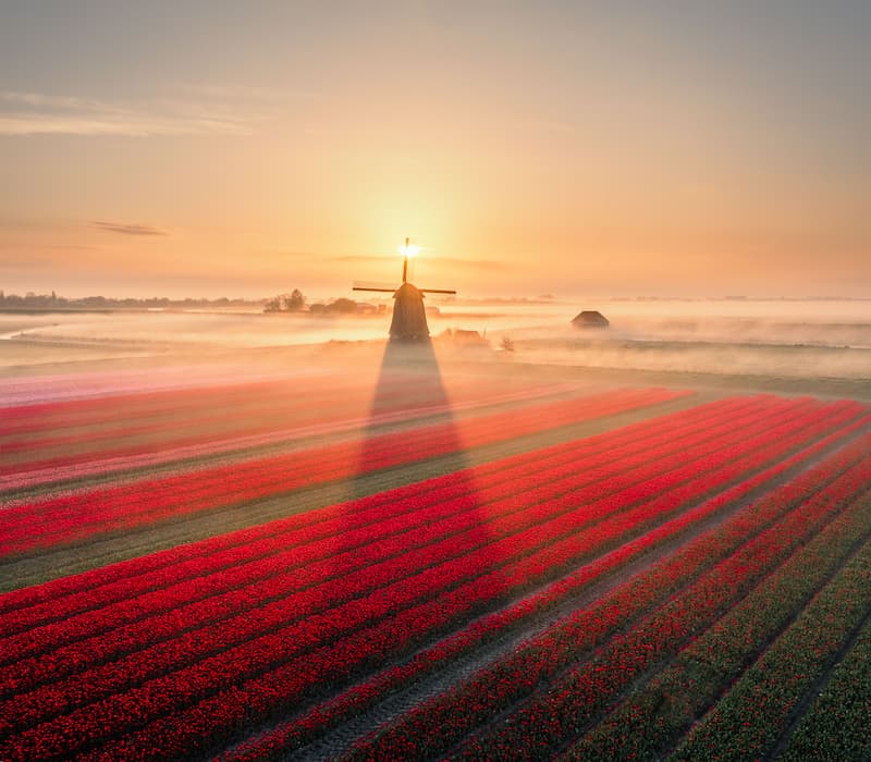 Nick de Jonge @nick_skeyes_4