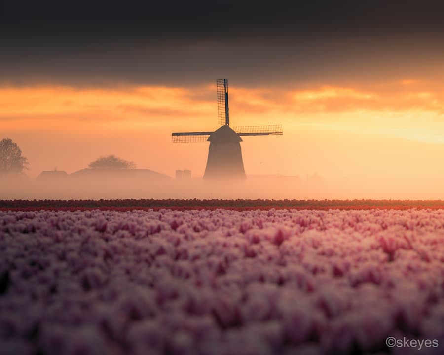 Nick de Jonge @nick_skeyes_6