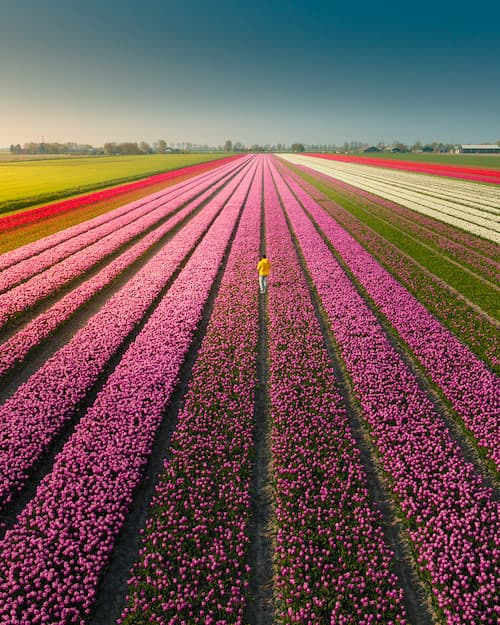 Nick de Jonge @nick_skeyes_7