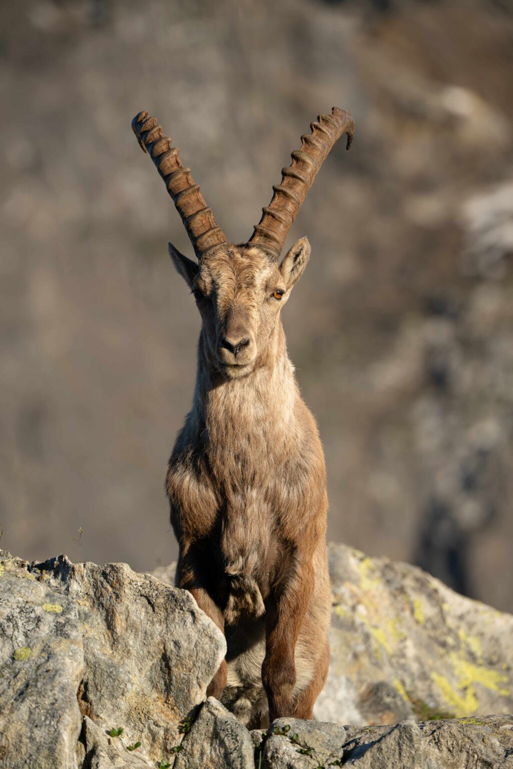 14 Nomadict_Ariane Totzke