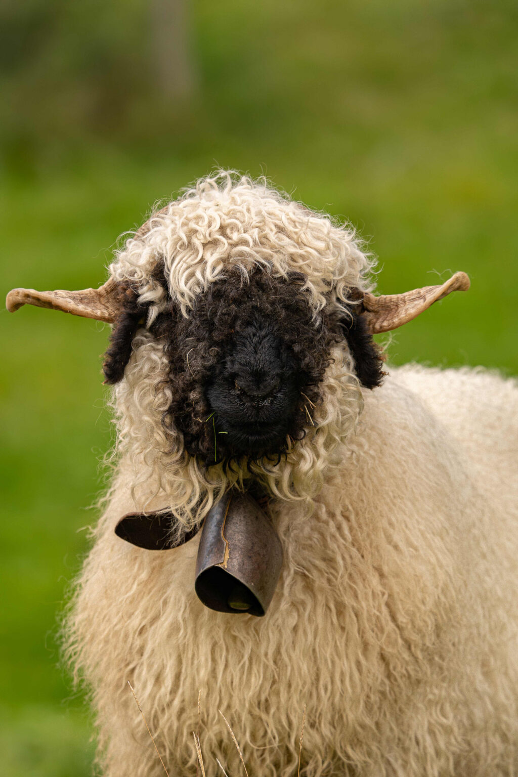 16 Nomadict_Ariane Totzke