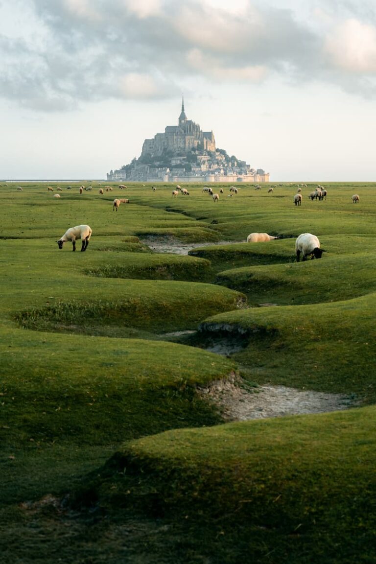 @roamwithsimon - Simon Hechtbauer - Nomadict Best of the Week