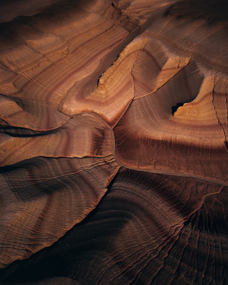 Tiramisu - Kazakhstan 3 Forest Kai - @forest1kai