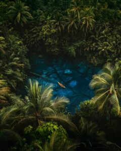 WINNER_Nomadict_tofenpics