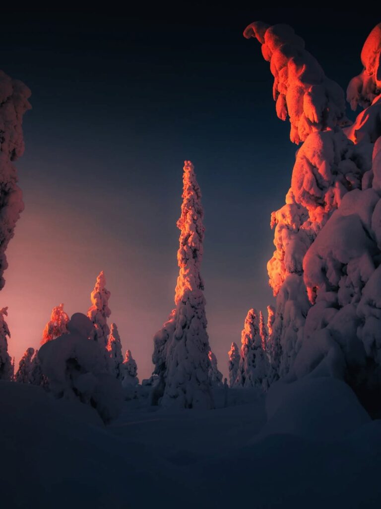 Kasper Rajasuo - @rajasuokasper - Nomadict 4