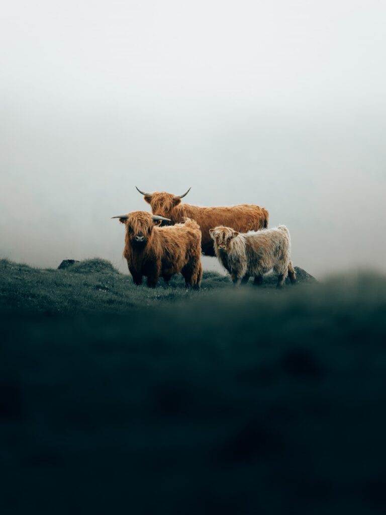 Philipp Pilz - @buchstabenhausen - Nomadict 1