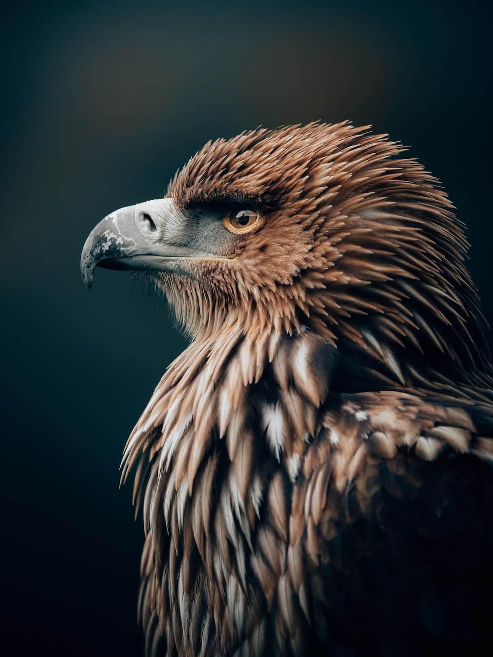 Philipp Pilz - @buchstabenhausen - Nomadict 2