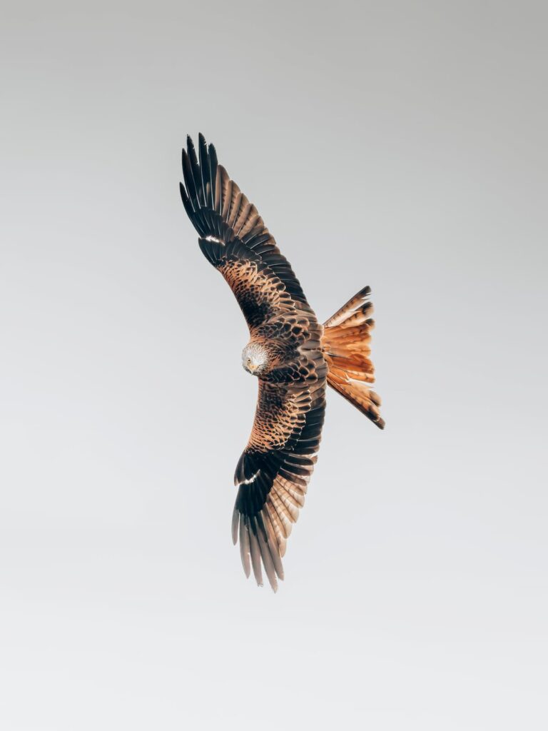 Philipp Pilz - @buchstabenhausen - Nomadict 5