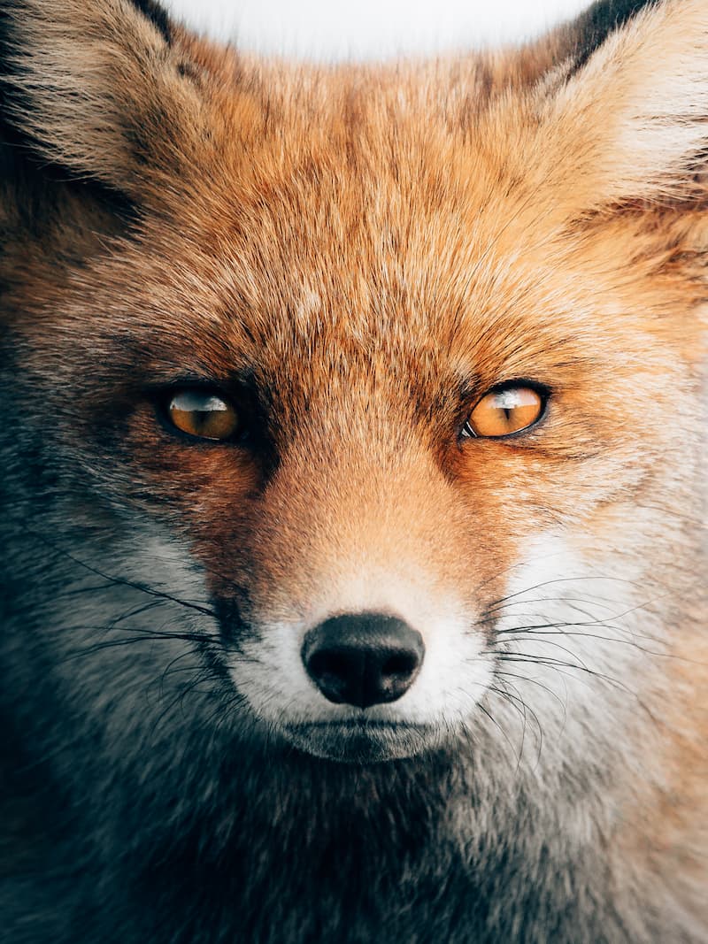 Philipp Pilz - @buchstabenhausen - Nomadict 7