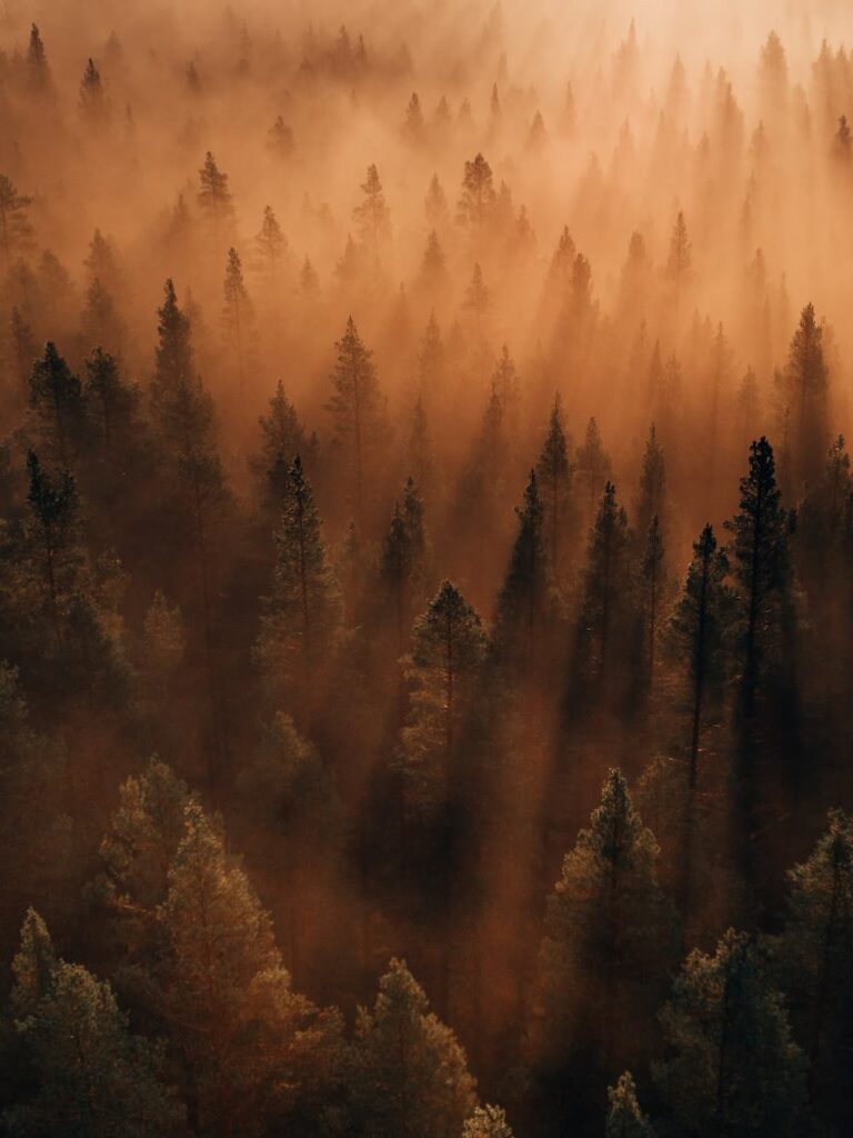 Philipp Pilz - @buchstabenhausen - Nomadict Winning Photo