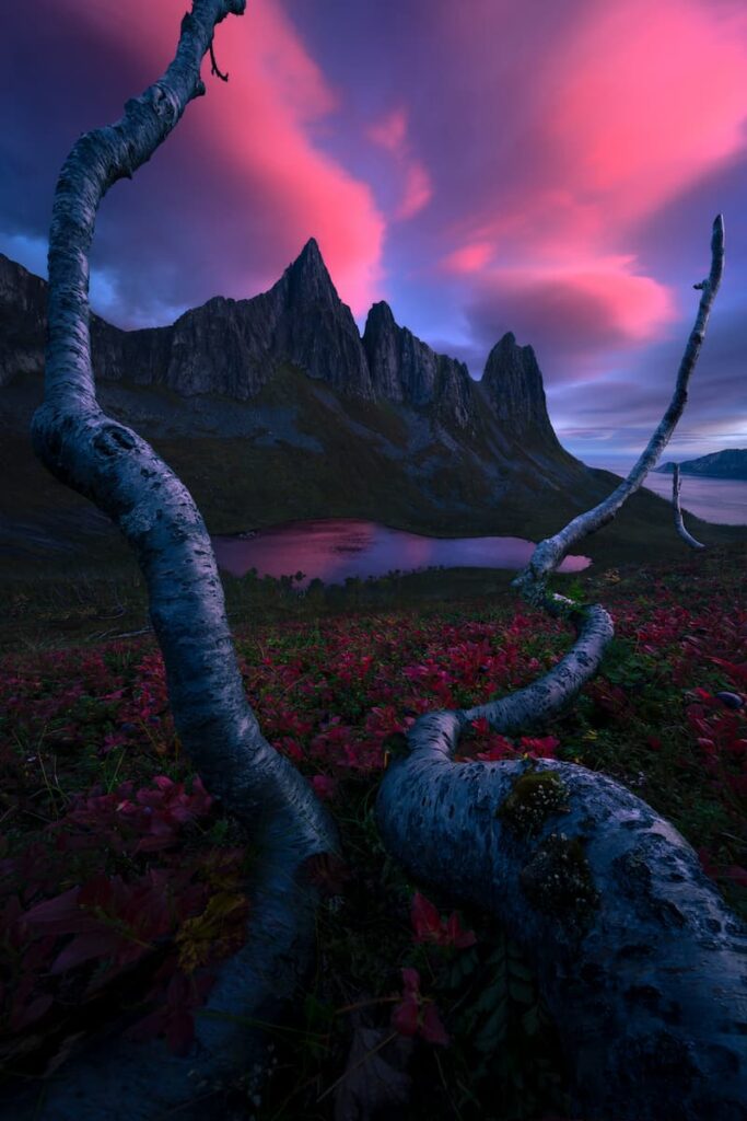 Filip Hrebenda, @filiphrebenda, Winner Photo 6th ColorPro Awards 7