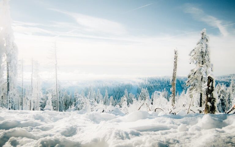 @withstrk_harz_03
