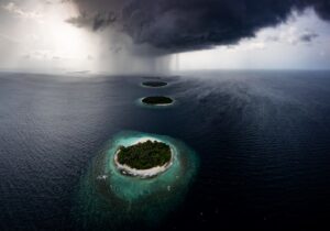 Joana Alina Winning Photo @joana_alina
